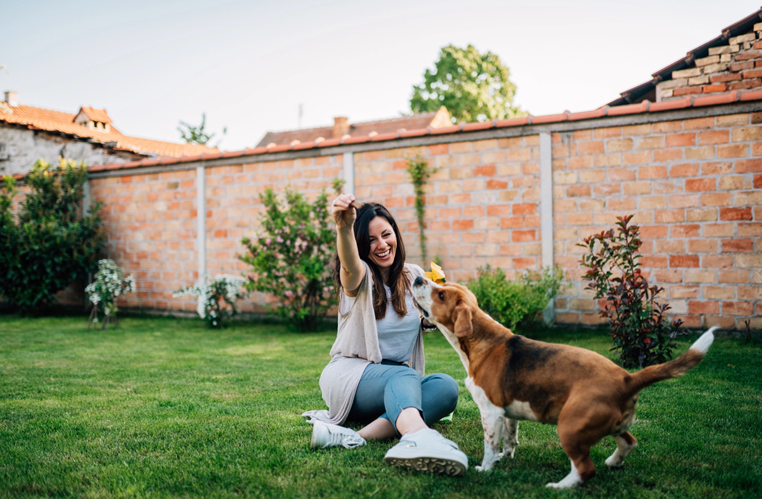 How Pets Help Improve Disease